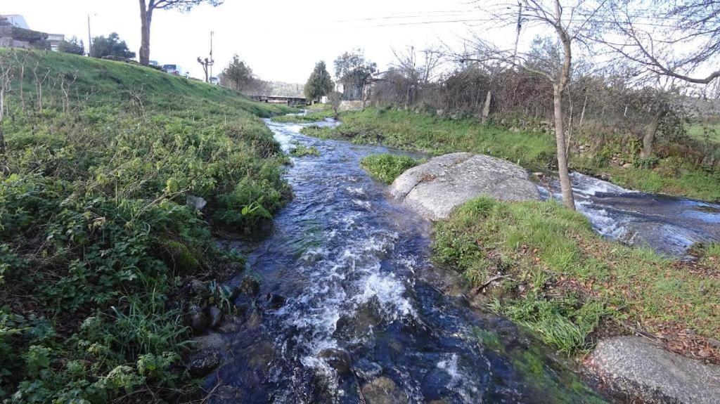 Casa Do Loureiro 1 - Seia - Serra Da Estrela المظهر الخارجي الصورة